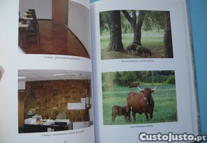 imagem_5