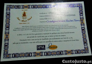 imagem_10