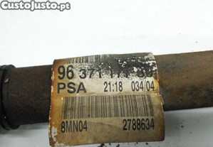 imagem_4
