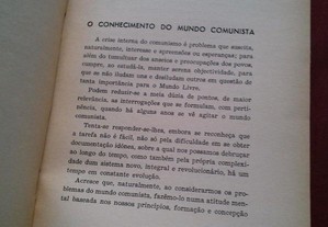 imagem_4