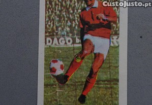 imagem_1