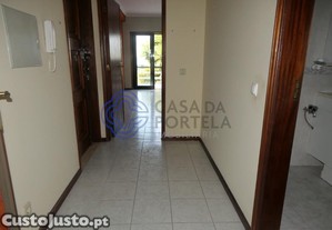 imagem_15