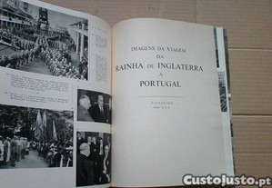 imagem_8