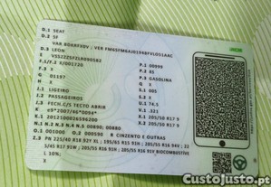 imagem_21