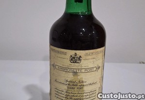 imagem_1
