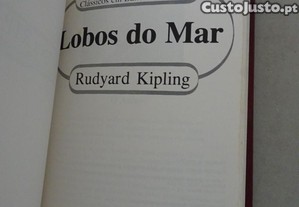 imagem_7