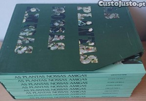 imagem_2