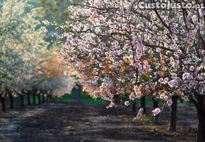 Herdade De Rentabilidade Diversificada
