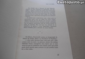 imagem_8