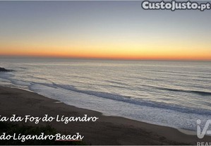 imagem_22