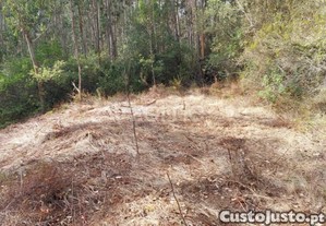 Terreno Urbanizável Com Mais De 8500M2 Nos...