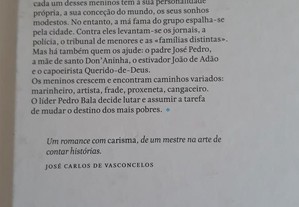 imagem_2