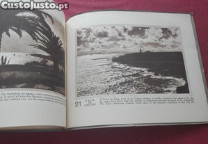 imagem_4