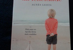 Livro Esgotado - Mesmo Antes da Felicidade de Agnès Ledig - NOVO