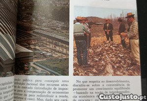 imagem_6