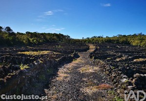 Terreno em Madalena de 20010,00 m²