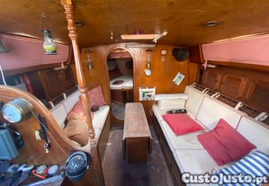 imagem_6