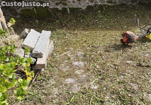 imagem_13