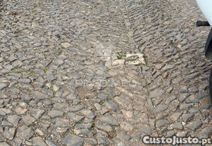imagem_6