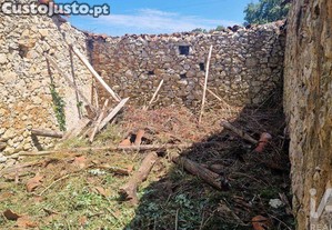 imagem_9