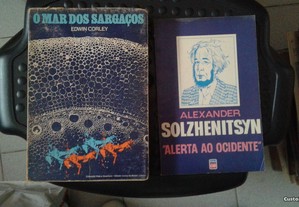Obras de Edwin Corley e Alexander Solzhenitsyn