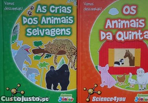 imagem_1