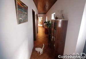 imagem_25