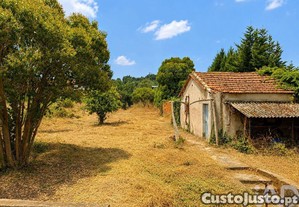 imagem_6