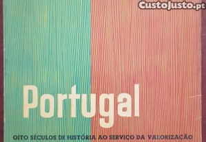 imagem_1