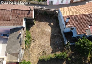 imagem_7