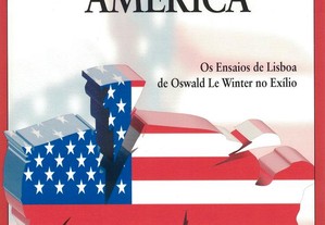 Desmantelar a América de Oswald Le Winter