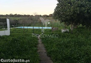 imagem_19