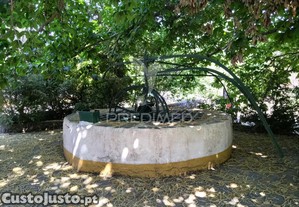 imagem_15