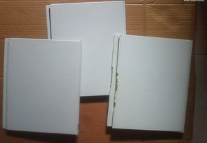 imagem_2
