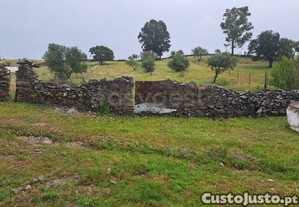 imagem_7
