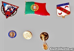 imagem_2