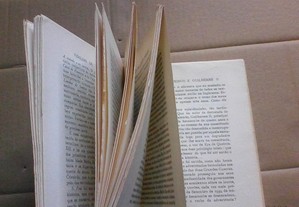 imagem_6