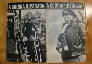 imagem_6