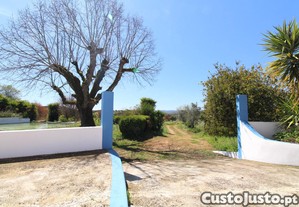 imagem_36