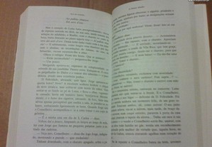 imagem_8