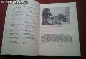 imagem_3