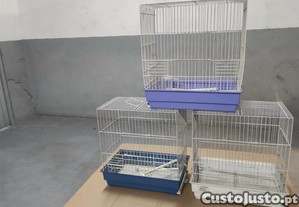 Gaiolas para Canários