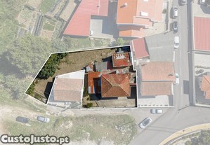 imagem_7