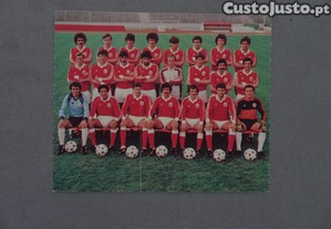 imagem_2