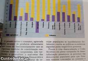 imagem_7