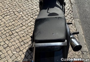 imagem_21