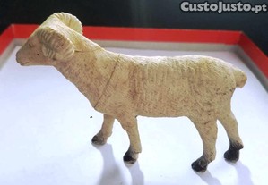 imagem_1