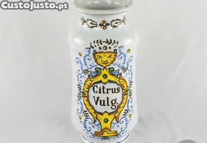 imagem_1
