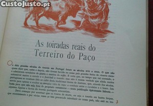 imagem_9
