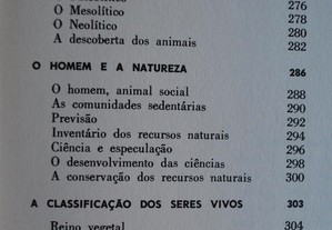 imagem_8
